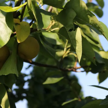 דירה I Zadomek Kolo Zatora